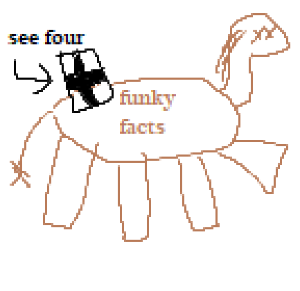 Dead horse labeled "Funky Facts" with a C4 on it